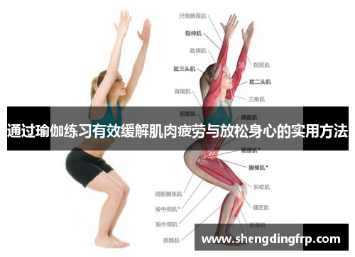 通过瑜伽练习有效缓解肌肉疲劳与放松身心的实用方法